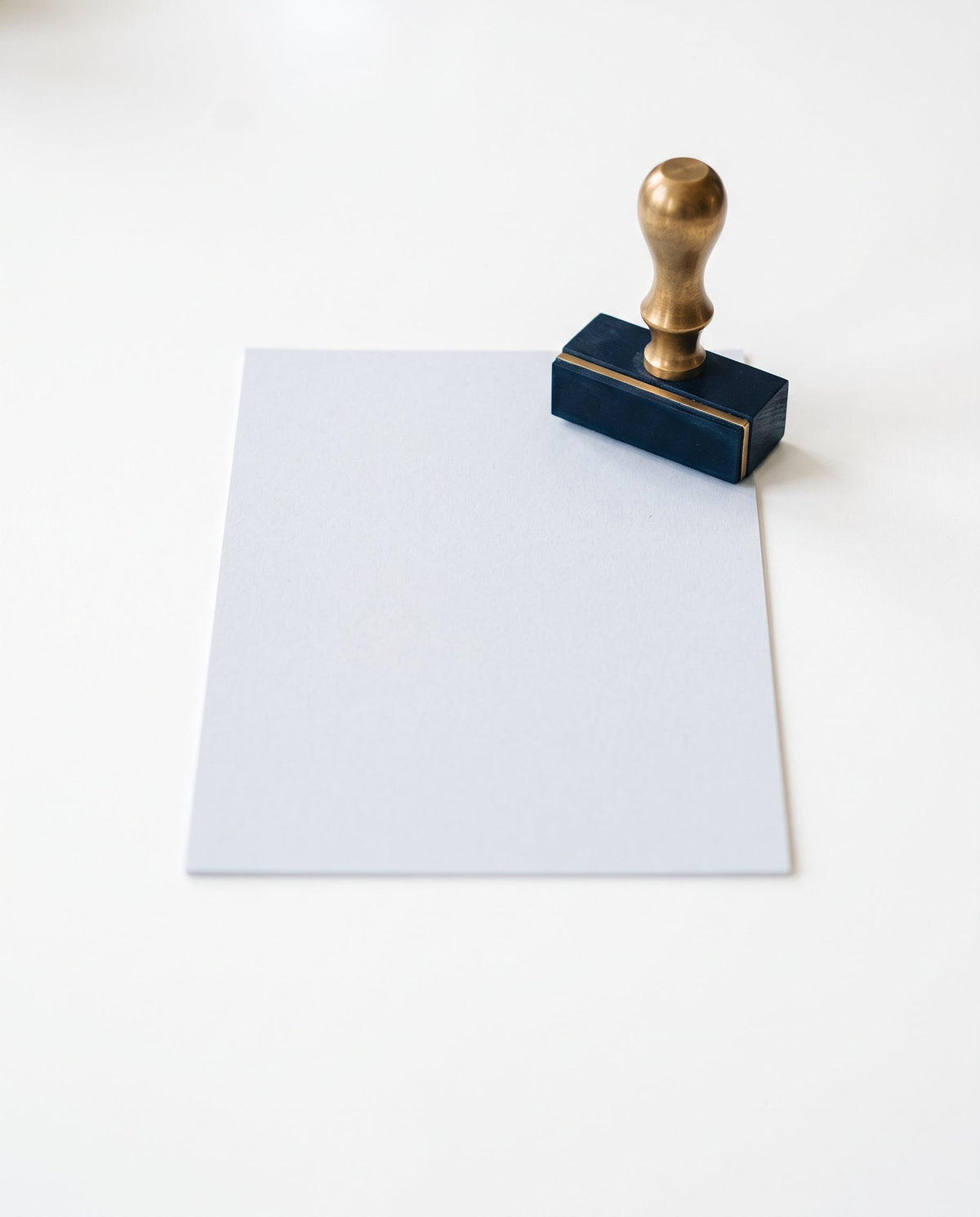 Accounts Payable Support — Basic